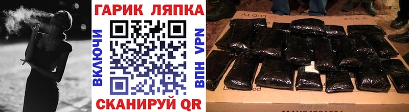 ГАШ Premium  Зея 