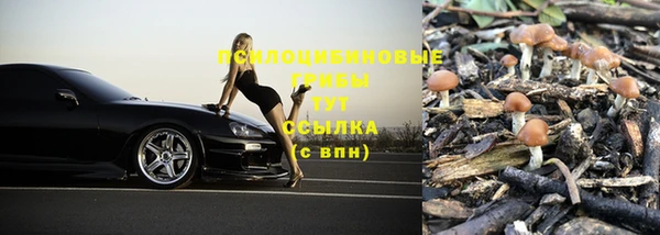 ешки Дмитриев