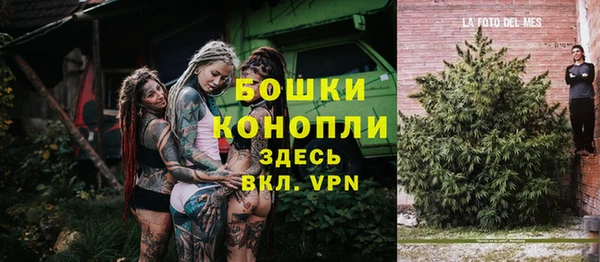 spice Ельня
