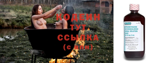spice Ельня